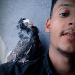 HishamNabeel MuhammedHayel Profile Picture